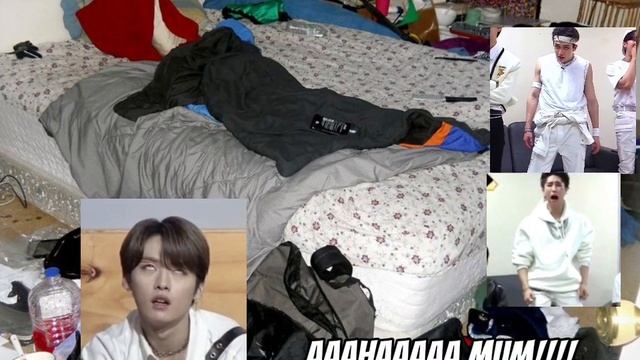 Heheh #minho #han #bangchan смотреть онлайн