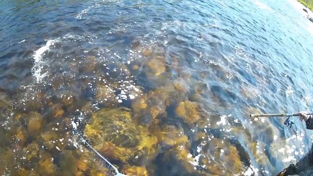 РЫБАЛКА НА КОЛЬСКОМ ПОЛУОСТРОВЕ. Рыбалка на Семгу. Рыбалка на Горбушу. Рыбалка на реке Титовка.