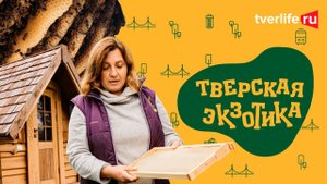 Тверская экзотика: Апидомик или сон на пчёлах