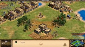 Эпоха Империй 2 (Age of Empires 2). Игра против НЕВОЗМОЖНЫХ компов!