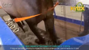 Невероятные современные машины для скотоводства и их мощные технологии, технологии и инструменты ▶