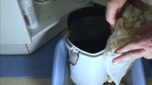 КАК ИЗБАВИТСЯ ОТ ВОДОРОСЛЕЙ В АКВАРИУМЕ