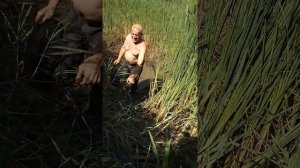 Кыргызстан, Ошская область,Узгенский район,Кызылдыйкан. Ловим карпа.