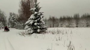 Снегоходы Карелии. Зимняя Карелия фантастически красива! Активный отдых зимой