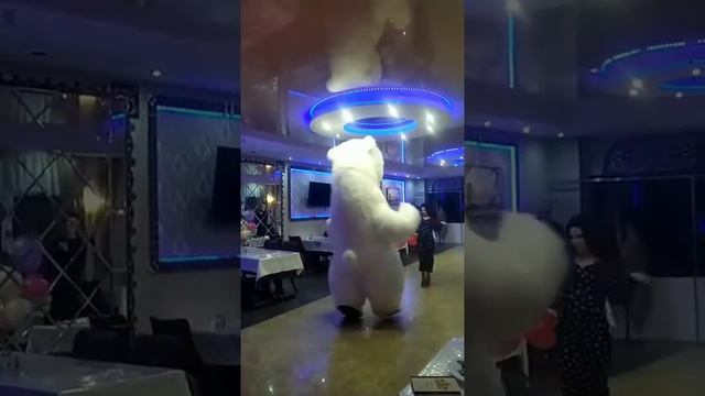 Горячая порция танцев вам в ленту!Поздравление от белого медведя