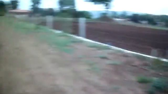 Golden Retriever name sweetie 1 смотреть онлайн