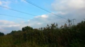 Треск ЛЭП 500 кв