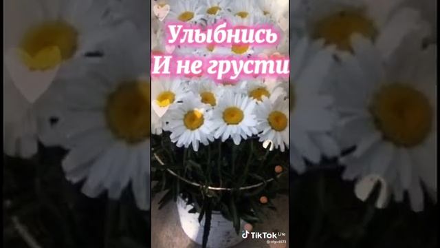 Картинки с поздравлением!!! ?Ромашки!!! ? смотреть онлайн