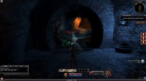 Dungeons & Dragons Online® ОБЗОР Мда игра сдохла