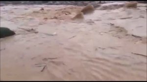 Сильное течение!!! (Strong current)