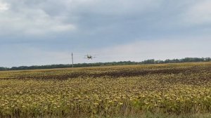 Кукурузник / Самолёт ан 2 / Малая авиация / Авиация общего назначения / an-2 / АН-2