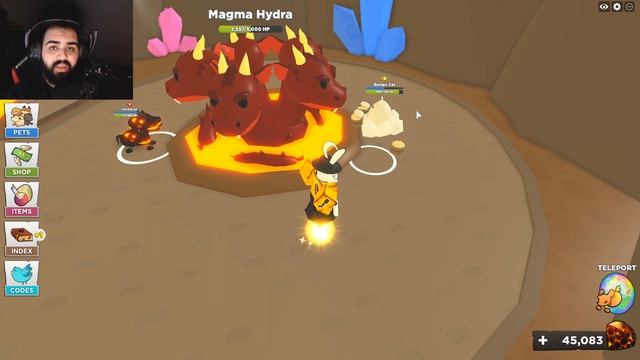 BONGO CAT IS INSANELY OP! Pet Heroes Roblox смотреть онлайн