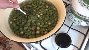 Варенье из сосновых шишек! Jam made from pine cones!