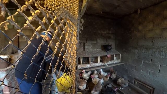 Гусеница. Жара в теплице. Лимонница. Огурцы все взошли. Борис смачно кушает. В саду всё оживает. смотреть онлайн