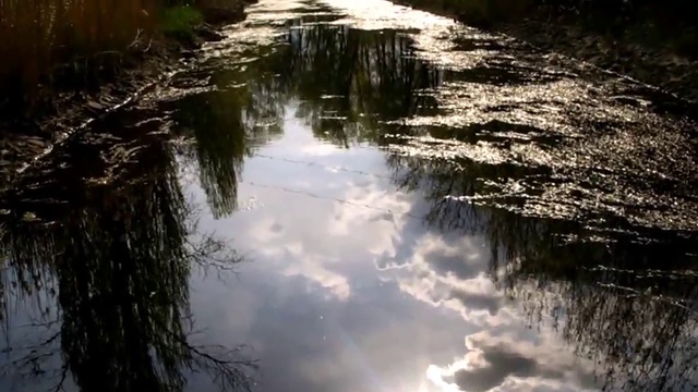 Я ТАК ЛЮБЛЮ РАССЕЯННЫЕ ЗВЁЗДЫ смотреть онлайн