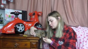 Сладун VS Чернорыж | кто лучше знает ПДД?