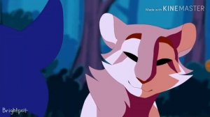 Коты воители Желудь и Синяя Звезда клип ,,До встречи на танцполе,,.