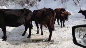 Дорога в Местию в феврале в Грузии ( თებერვალს მესტიაში გზაა)