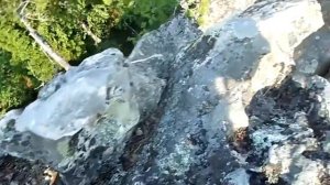 Скальник Ворона