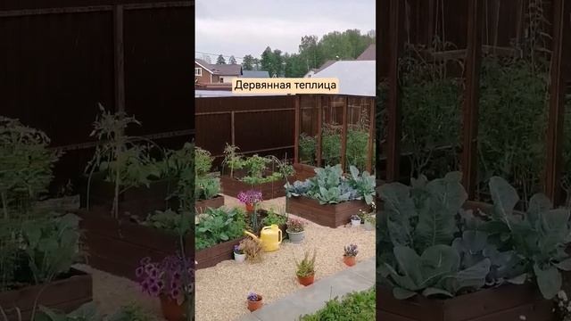 Деревянная теплица #ландшафтный_дизайн #greenhouse #огород #теплица #дача #garden #gardening