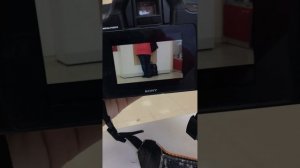 Sony a230