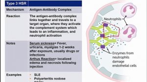 USMLE RX - 6.Иммунология - 2.Иммунные реакции - 11.Типы гиперчувствительности