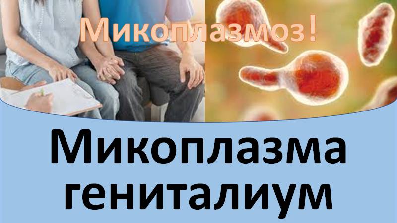 Микоплазма гениталиум