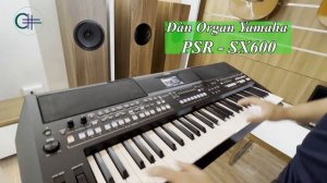 Test Tiếng Sáo Mèo Trên Đàn Organ PSR-SX600