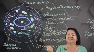 Жасушалық құрылымдар. 1 бөлім. 9 сынып.