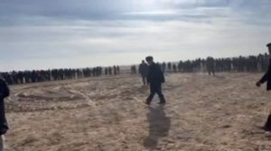 Елликкальада полвонли кучкор уришмоли туй
