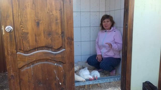 Бройлер за 1 месяц - ИДЕАЛЬНО ДЛЯ ДАЧНИКОВ!!! смотреть онлайн