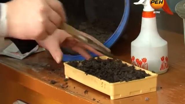 Выращивание рассады смотреть онлайн