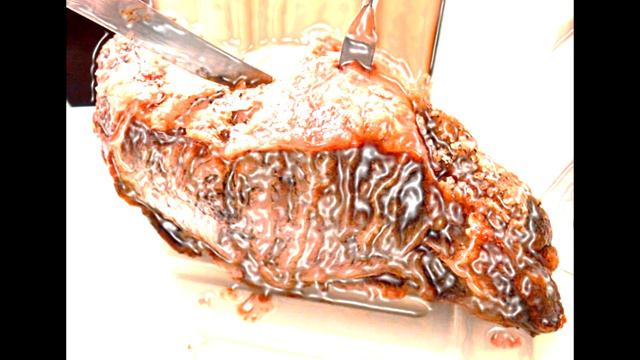 They're Made Out of Meat смотреть онлайн