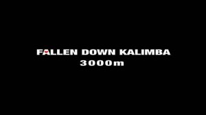 Fallen Down Kalimba