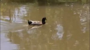 День открытых дверей в экоцентре «Кузнецкий Алатау»