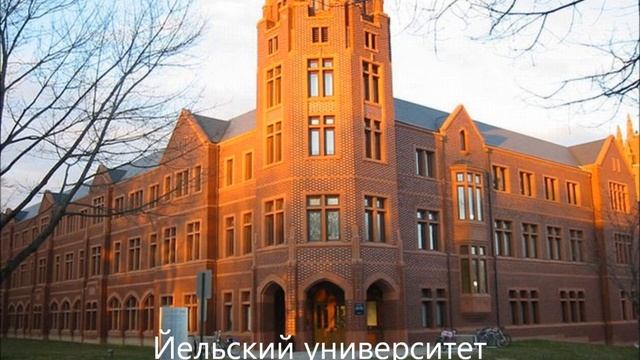 Лучшие университеты мира смотреть онлайн