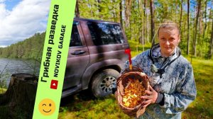 Грибная разведка 06 июля 2024. Приозерский район.
