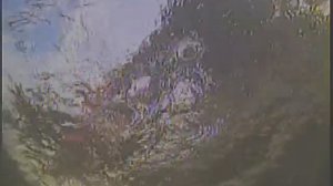 Как ловить на джеркбейты. Секреты ловли на джеркбейты