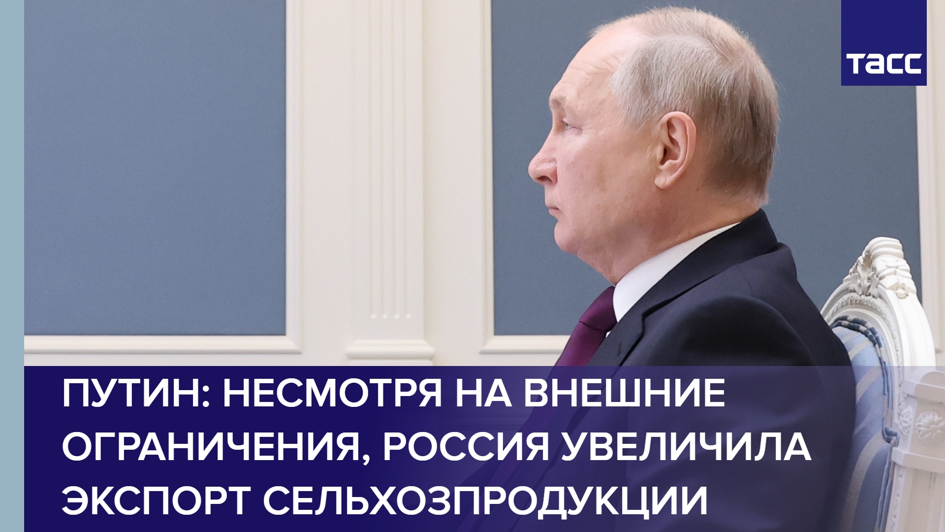 Путин: несмотря на внешние ограничения, Россия увеличила экспорт сельхозпродукции