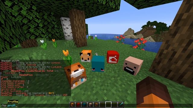 How to Get Custom Heads on Your Server - Minecraft Java смотреть онлайн