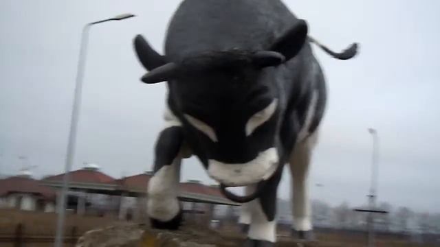 Бык смотреть онлайн