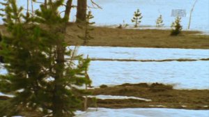 Суровая (Дикая) Арктика / Wildest Arctic Серия 2 Taiga - The Frozen Forests / Тайга - Замёрзшие лес