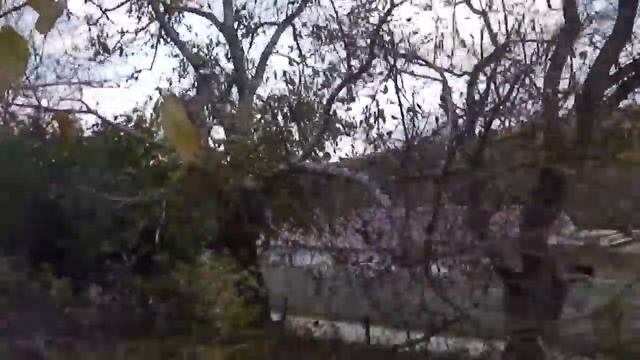 спил ореха на участке Наташи смотреть онлайн