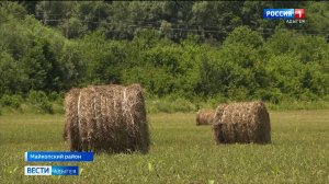 В крестьянско-фермерских хозяйствах идёт и заготовка сена для скота