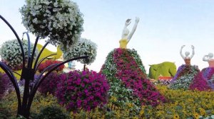 Самый большой парк цветов в мире Dubai Miracle Garden. ОАЭ | Заграничники