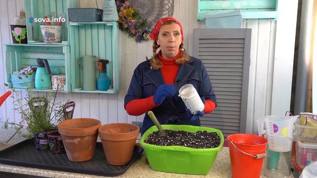 Секреты контейнерного озеленения. Дачные Сезоны смотреть онлайн