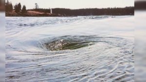 Что такое Суводь и почему там всегда стоит рыба?