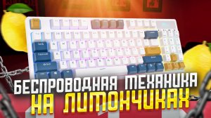 БЕСПРОВОДНАЯ МЕХАНИЧЕСКАЯ КЛАВИАТУРА с Bluetooth и Type-C на свитчах Lemon - Royal Kludge RK89