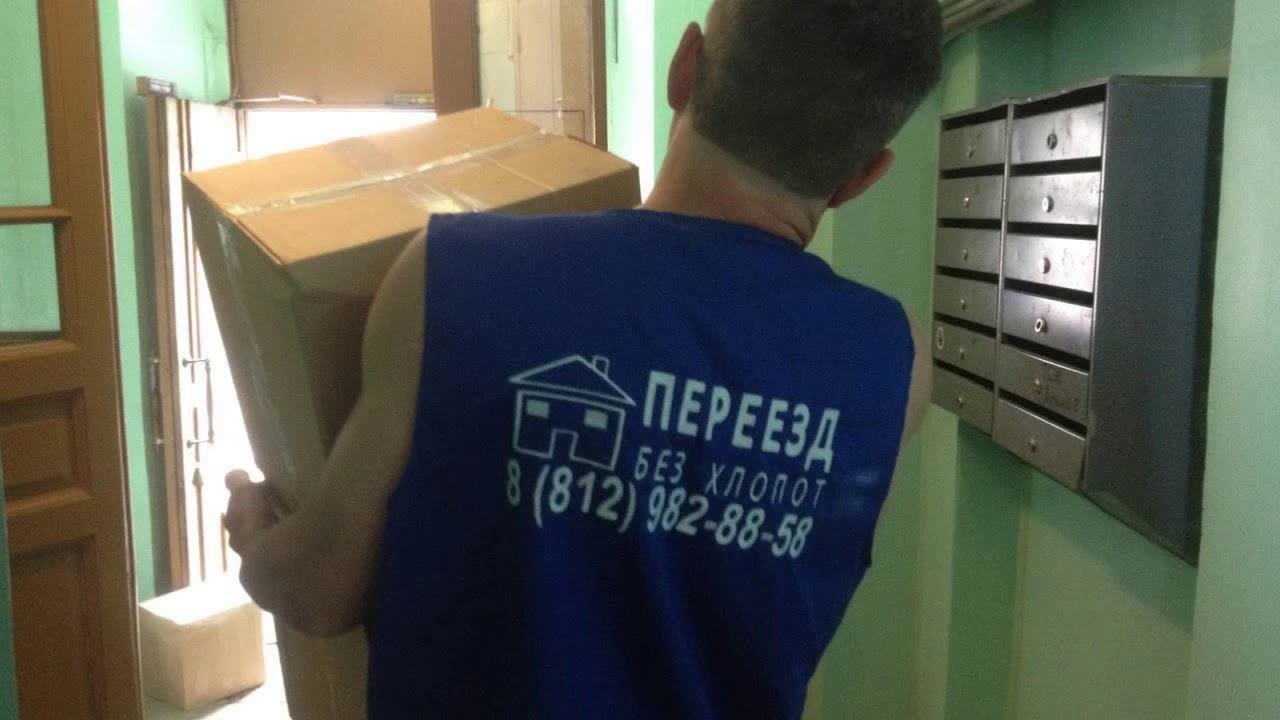 Перевозка библиотеки/15000 книг/Переезд без хлопот/Процесс переезда