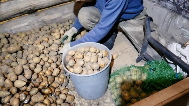 Гнилое картофельное пюре смотреть онлайн